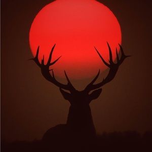 Meet your Posher, Glenn